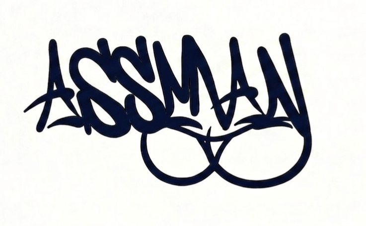 assmanseats.com